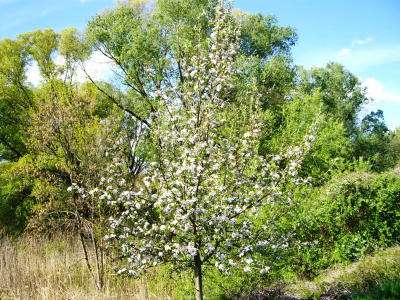 001Győr Rábca