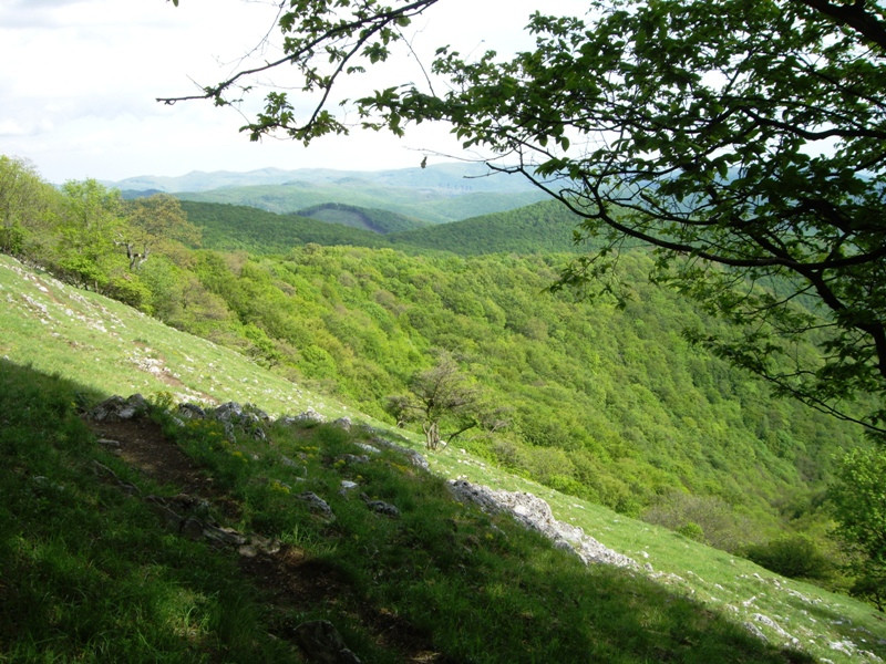 192Őserdő-Cserepes-kő