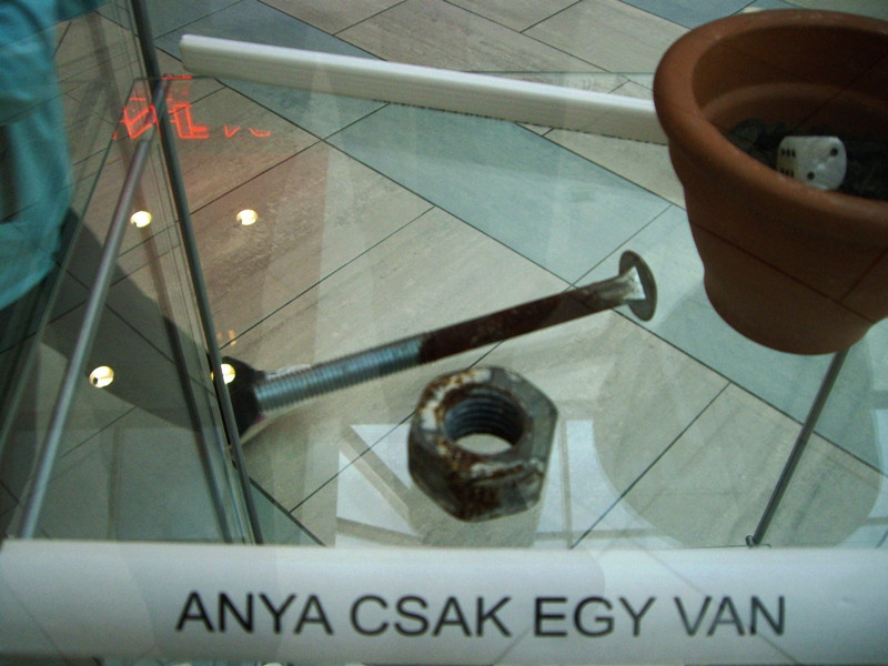 008 Anya csak egy van