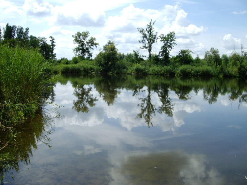 129 Lébény