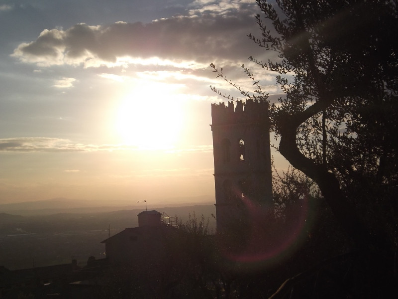 Assisi (149)