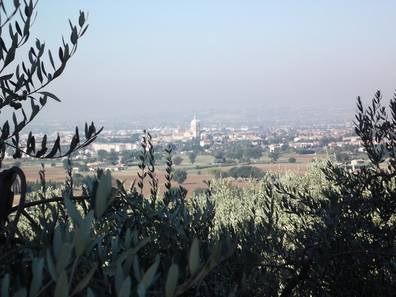 Assisi (231)