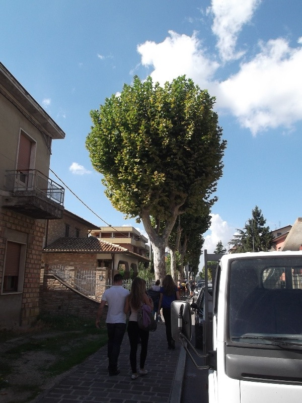 Gubbio