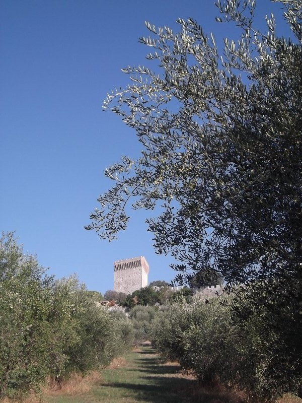 Lago di Trasimeno (2)