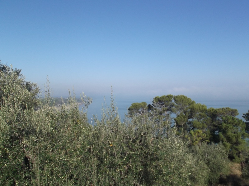 Lago di Trasimeno (24)