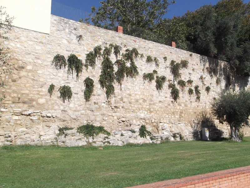 Lago di Trasimeno (112)