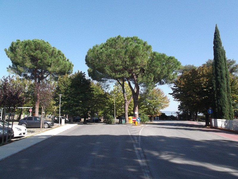 Lago di Trasimeno (127)