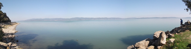 Lago di Trasimeno (138)