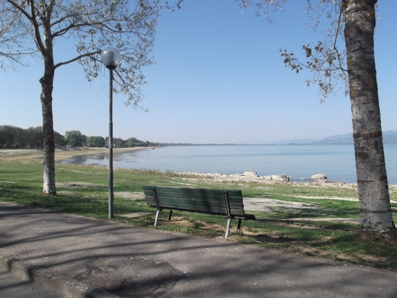 Lago di Trasimeno (156)