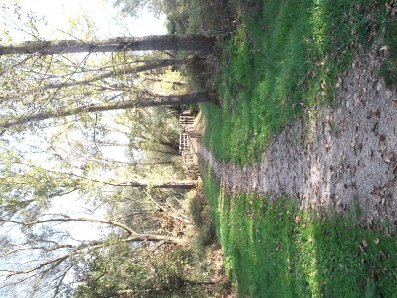 Lago di Trasimeno (195)