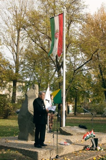 4 Pálfi tér Szentmihály (28)