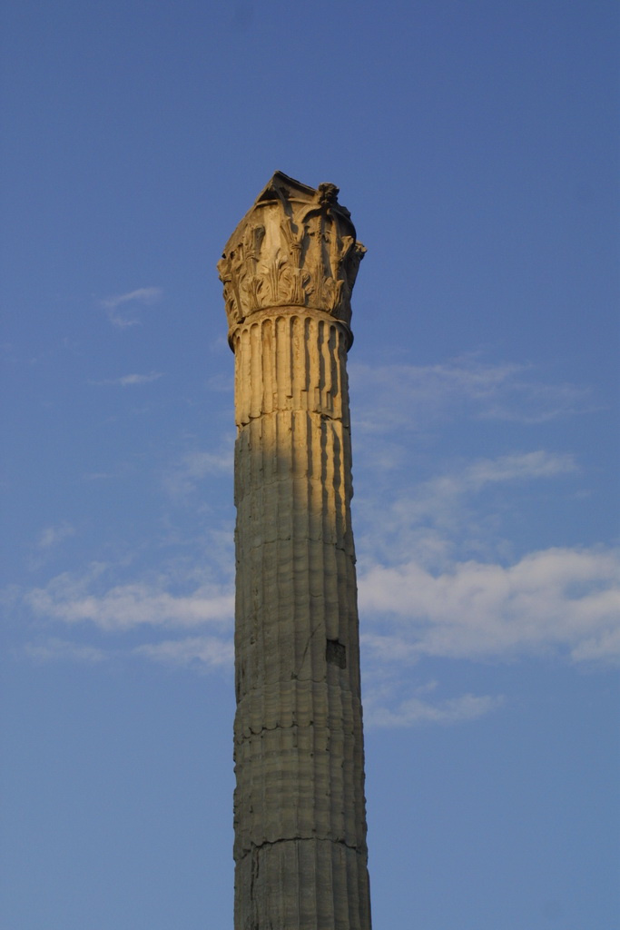 roma forum shadow