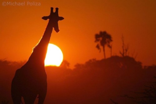 sunsets africa michael poliza 25-500x334