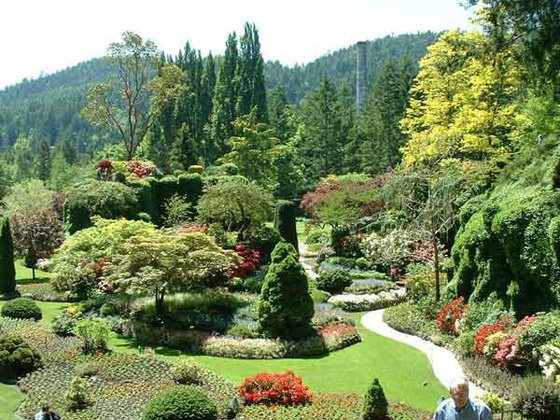 butchart gardens