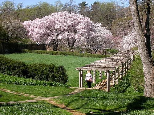 dumbarton-oaks