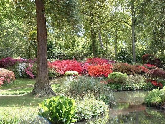 exbury-gardens-england