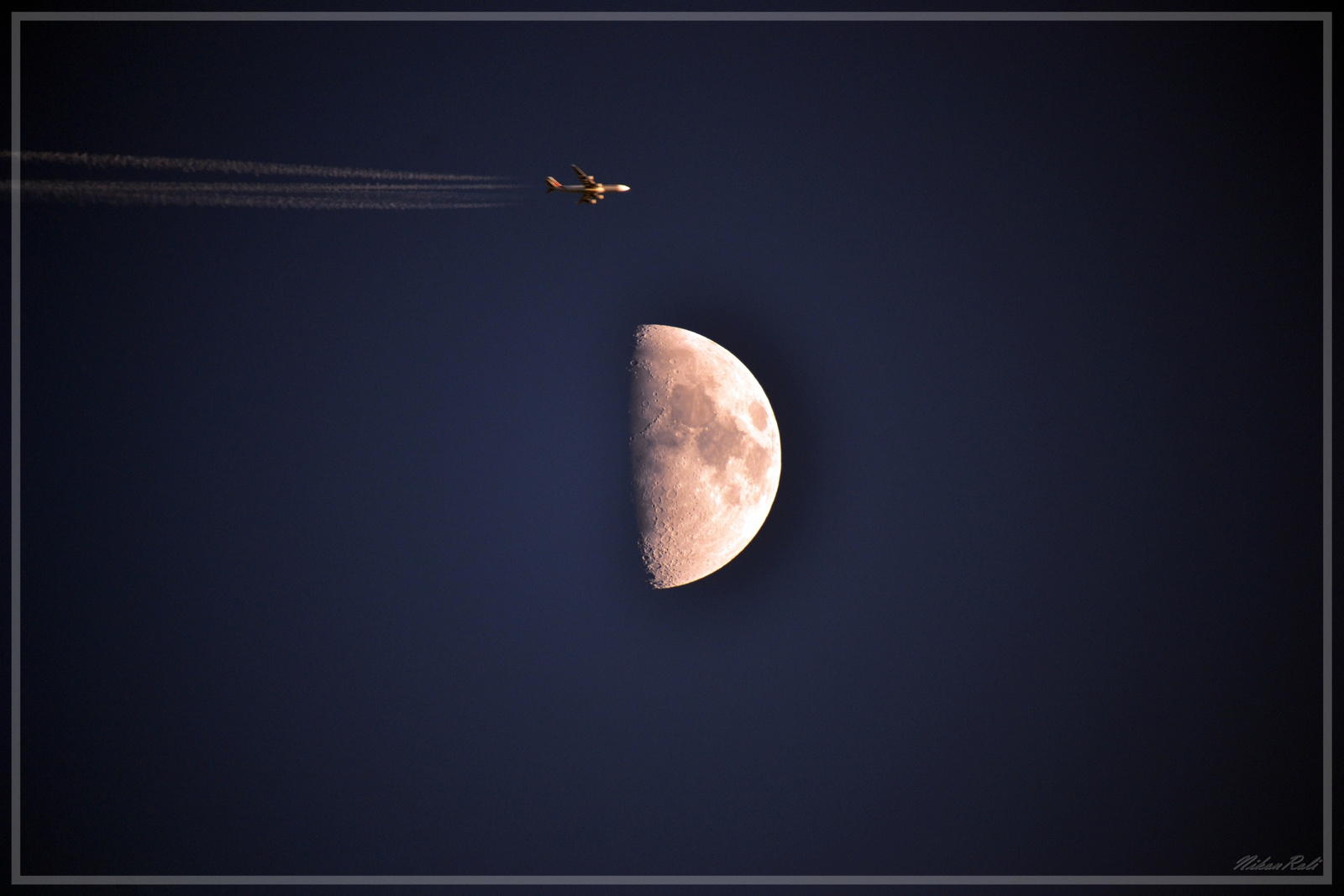 Hold repülővel