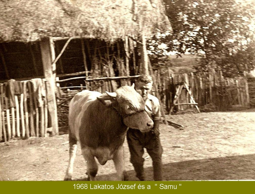 1968 Lakatos Jozsef es a Samu