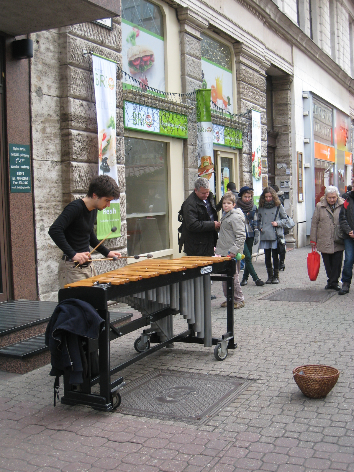 Ifjú művészjelölt és csodálatos dallamok