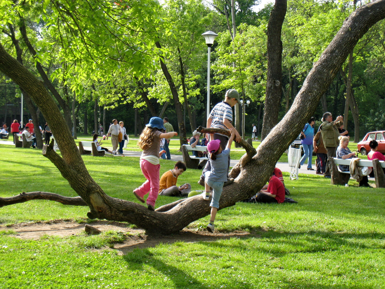 park gyerekek majális