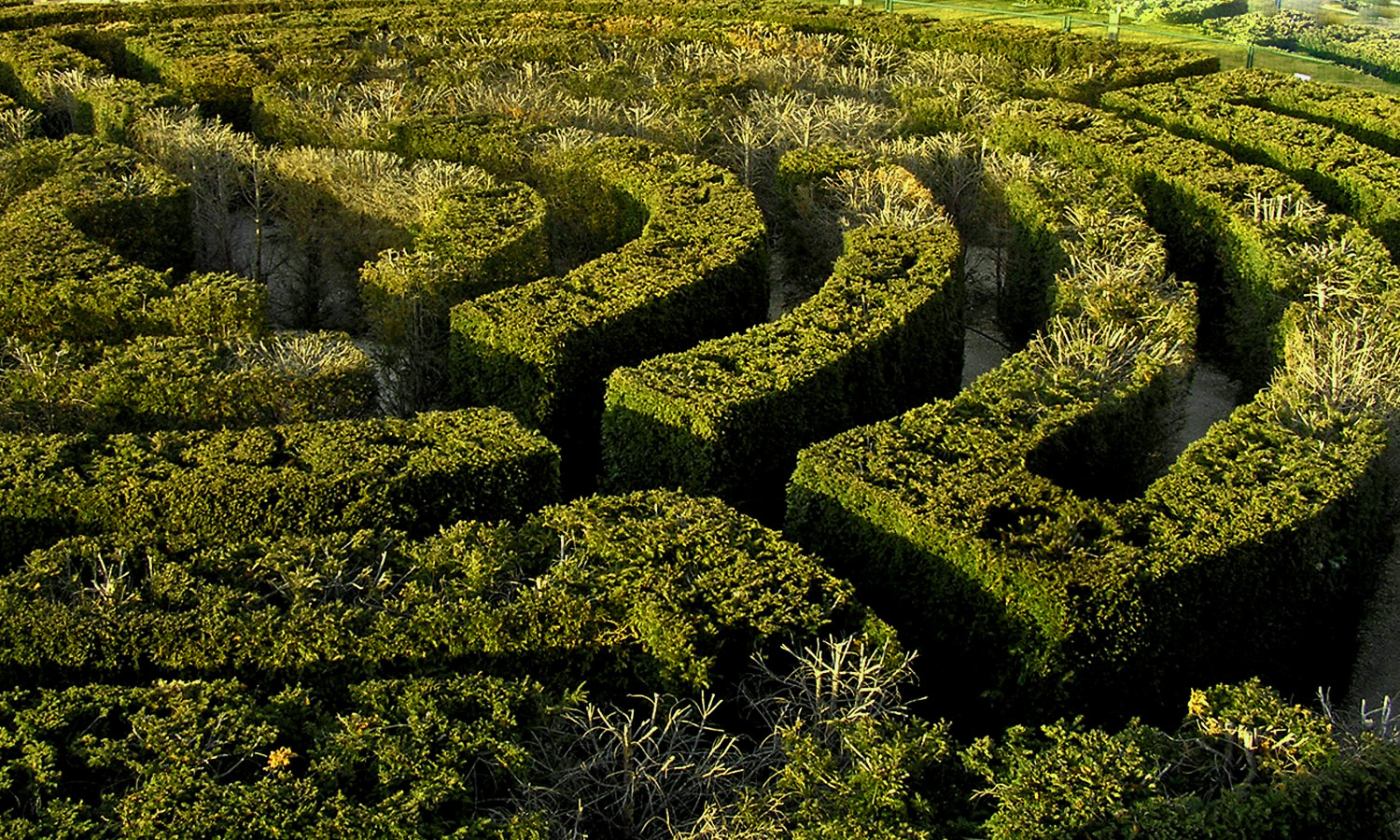 a labirintus
