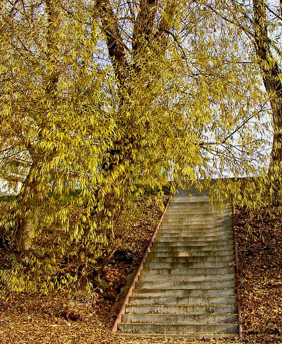 lépcső az őszben