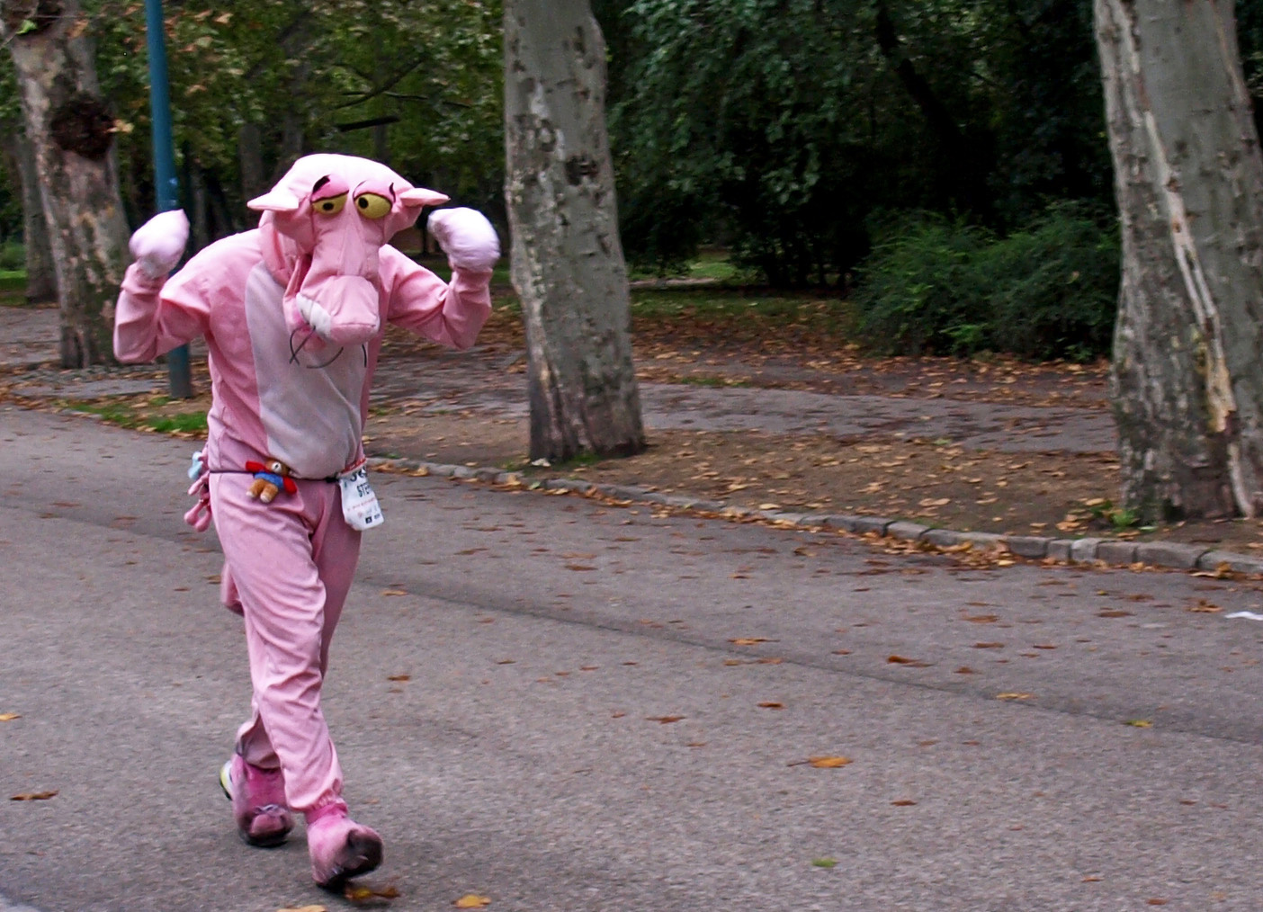 Maraton - Rózsaszín párduc