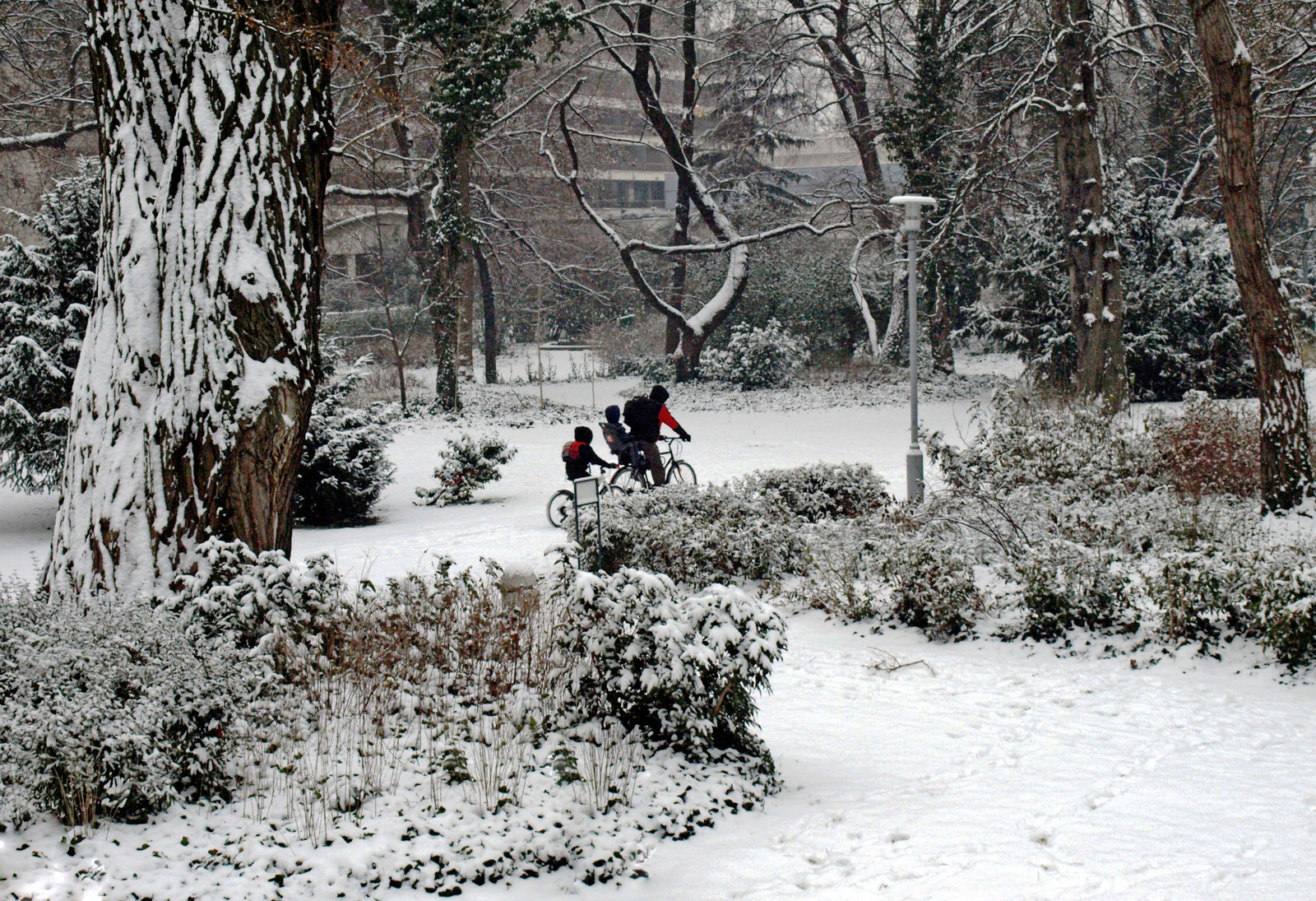 koránkelők - biciklitúra apával a hóban