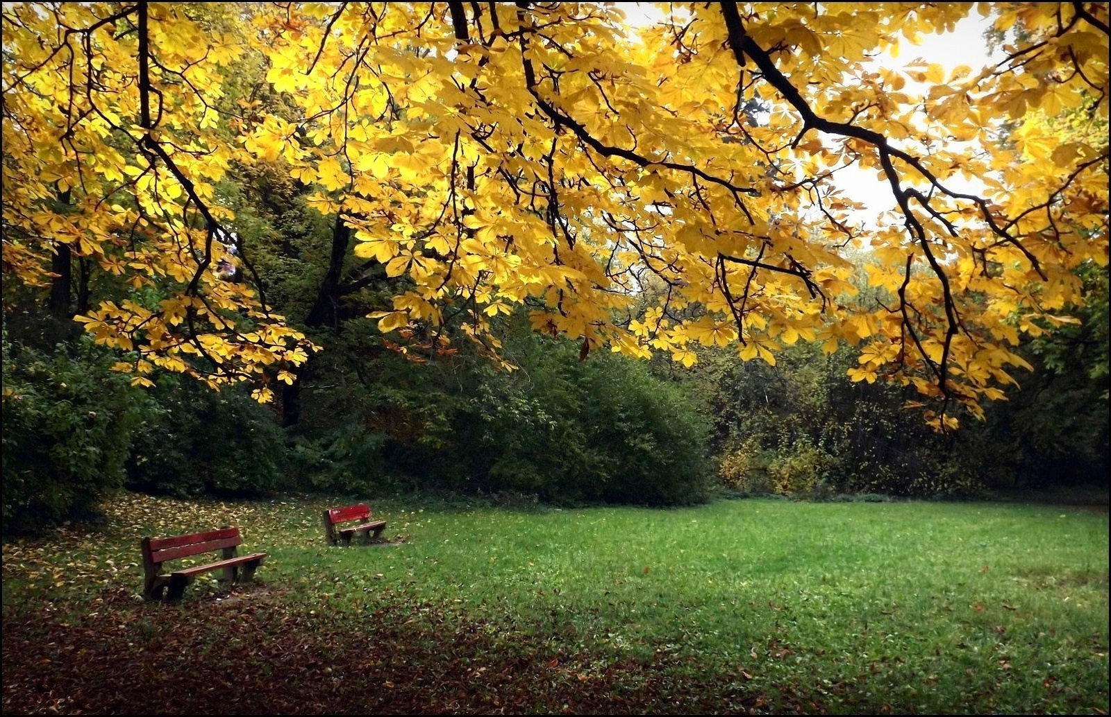 Ősz a parkban