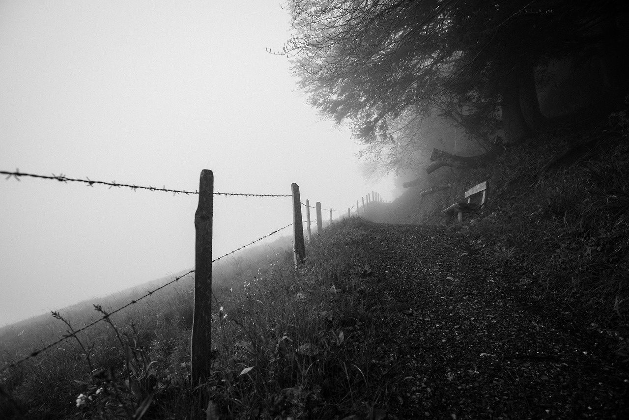 Mist Along The Barbed Wire