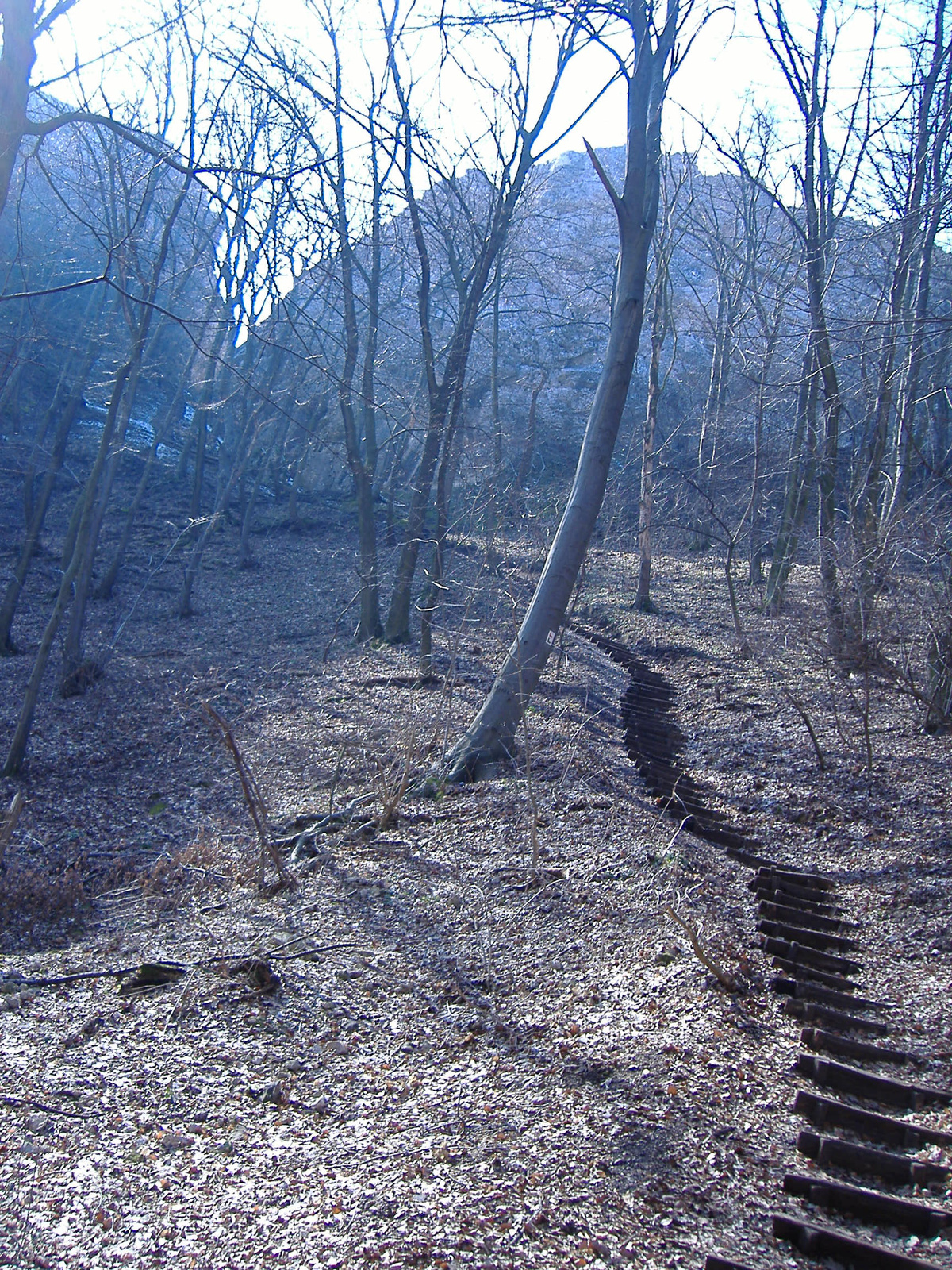 Csókakői (fel)lépcső