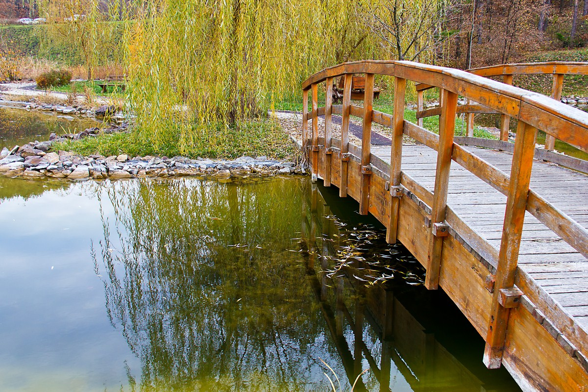 Ősz a parkban