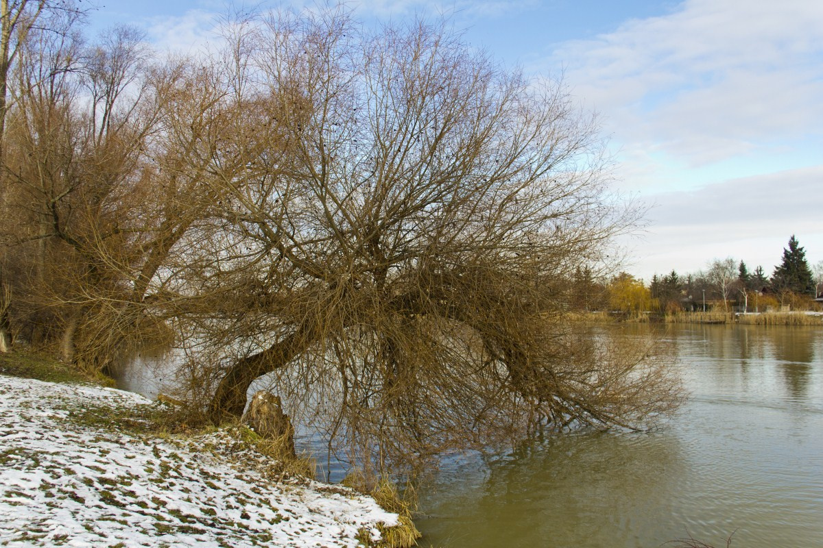 Csuka-lesőhely