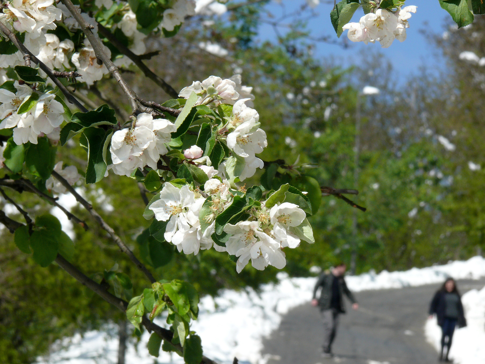 Tavasz a télben vagy fordítva?