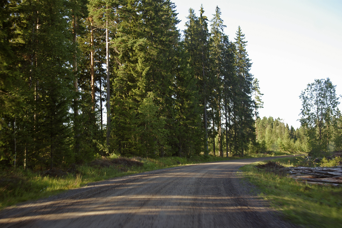 dirt road rally