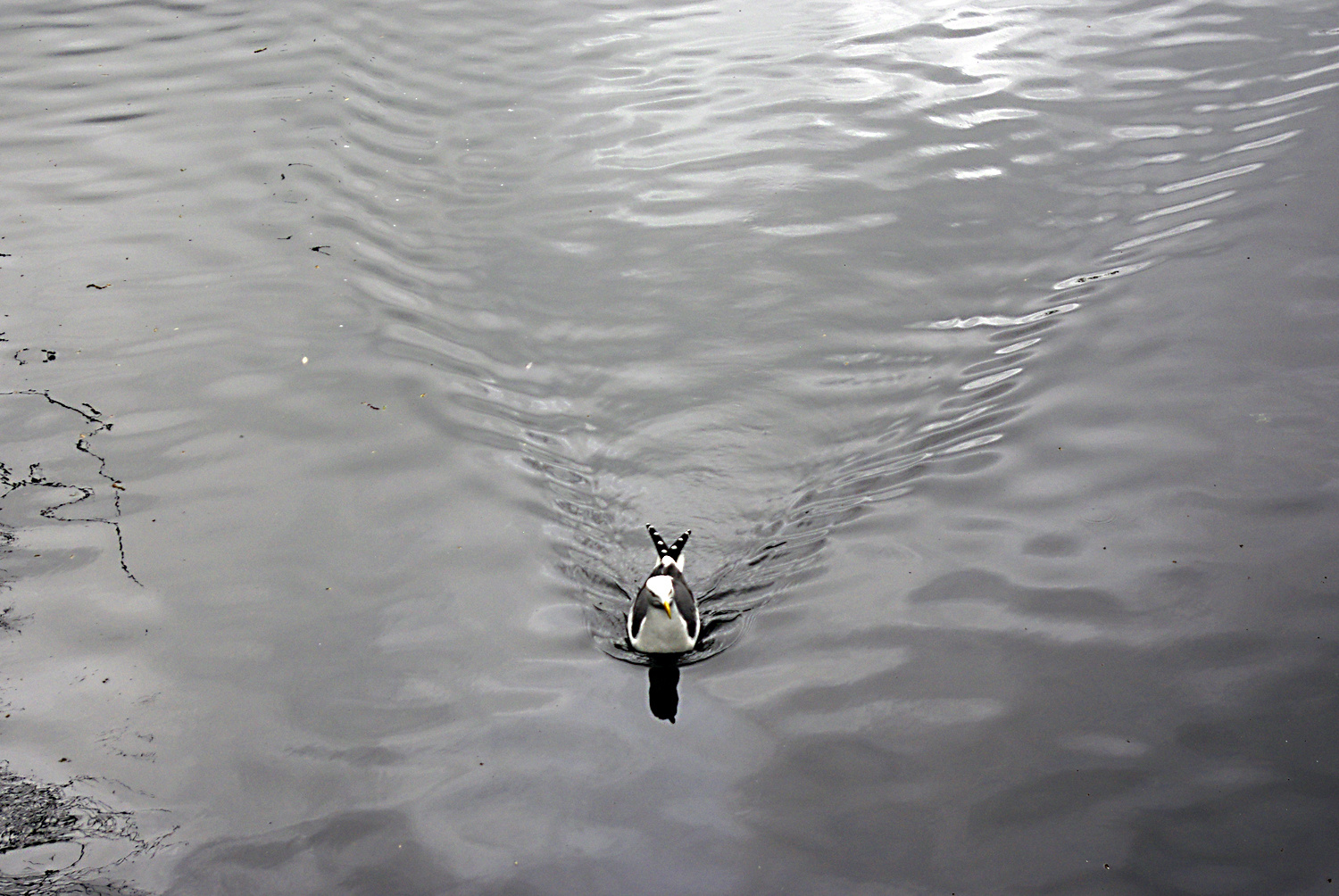 st stephens green