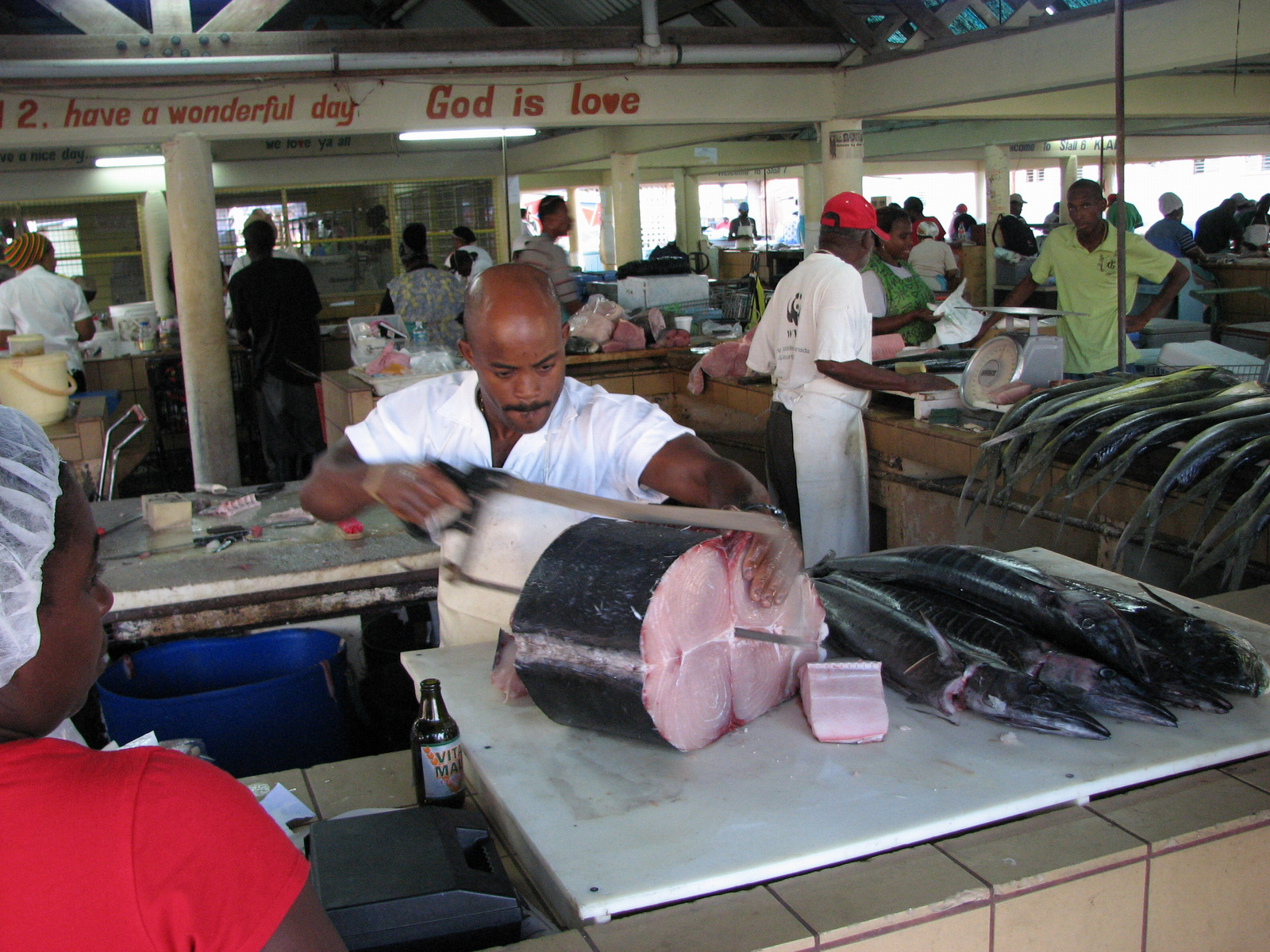 Barbados halpiac