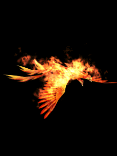 29795-flying-burning-bird-wallpaper