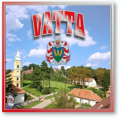 VATTA - FŐLOGÓ - MÉRETES 2016