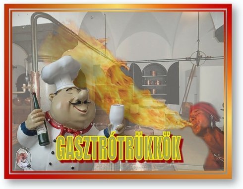 GASZTROTRÜKKÖK FŐLOGÓ - 2016