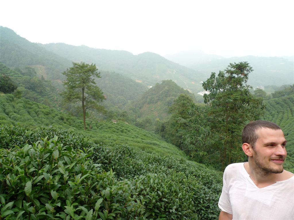 Longjing teavölgy