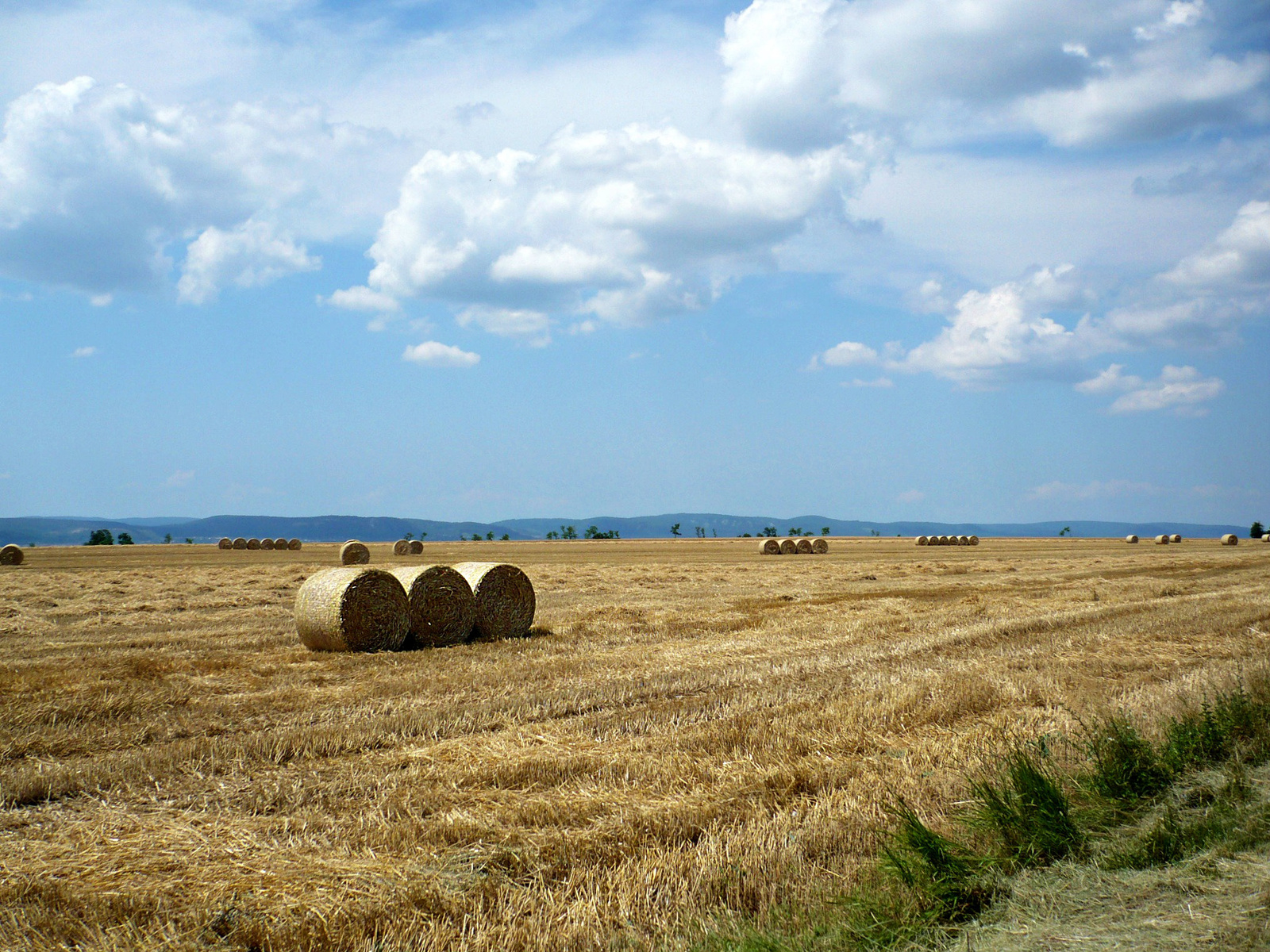 Kuglipálya