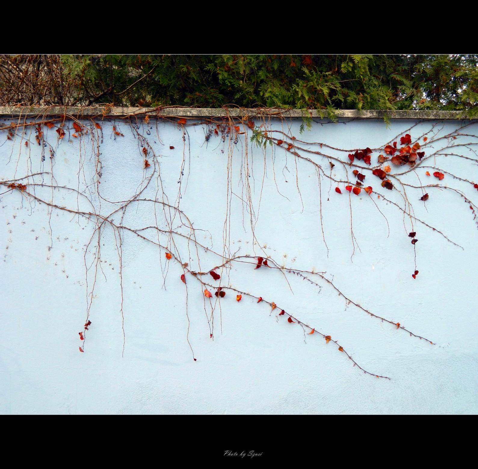 November végén...