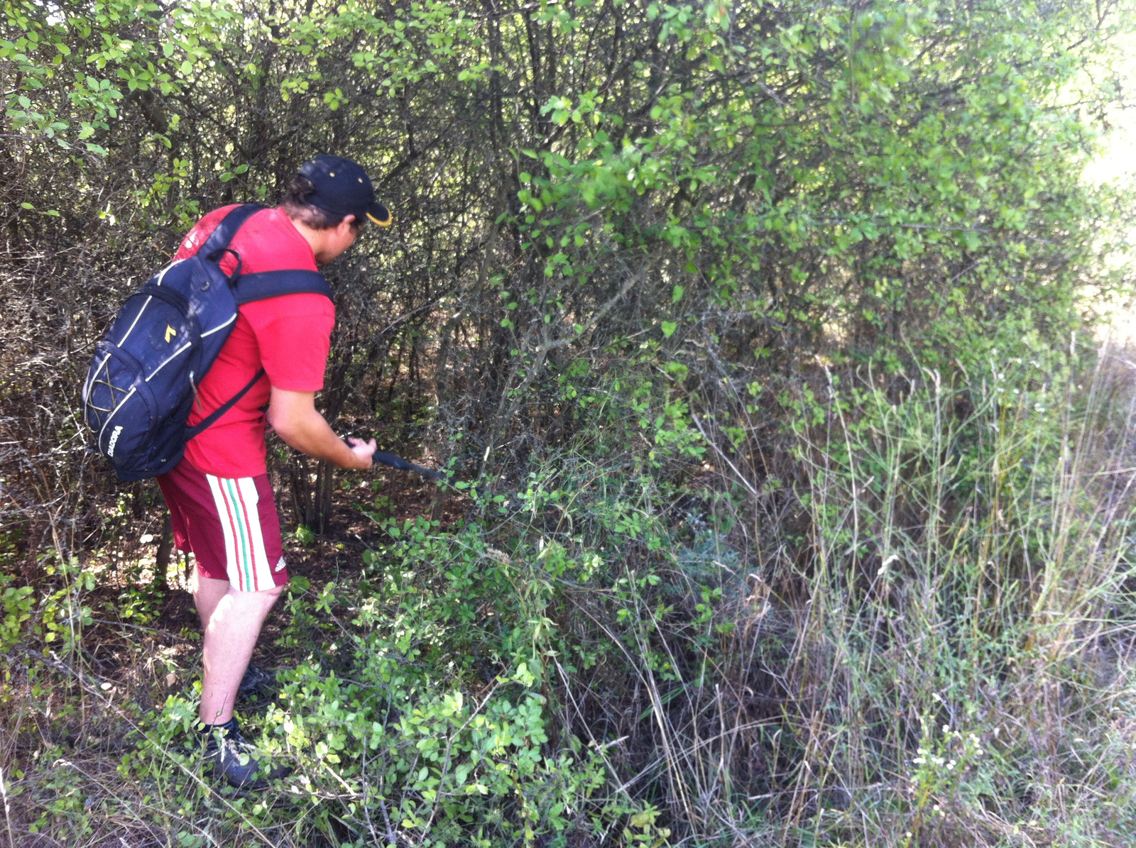 20150821 Kétbodony-Nósa-hegy (9)