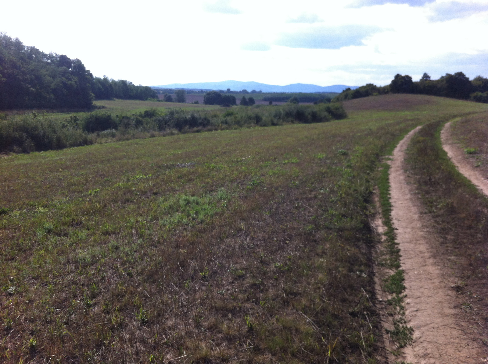 20150821 Kétbodony-Nósa-hegy (10)