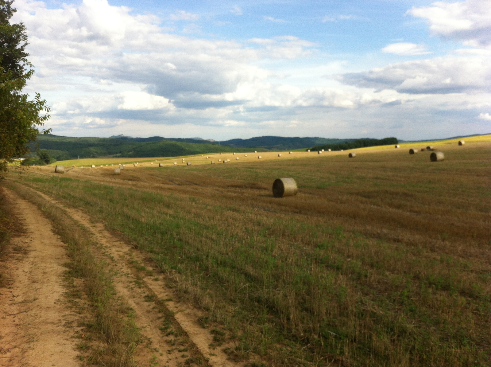 20150821 Kétbodony-Nósa-hegy (22)