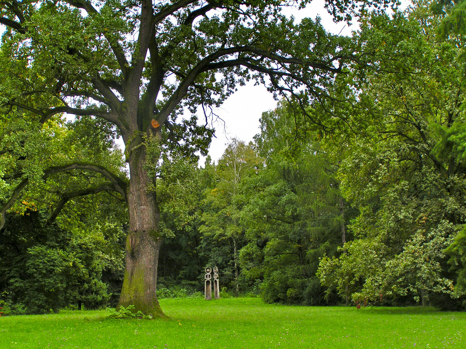 Tiszakürti arborétum