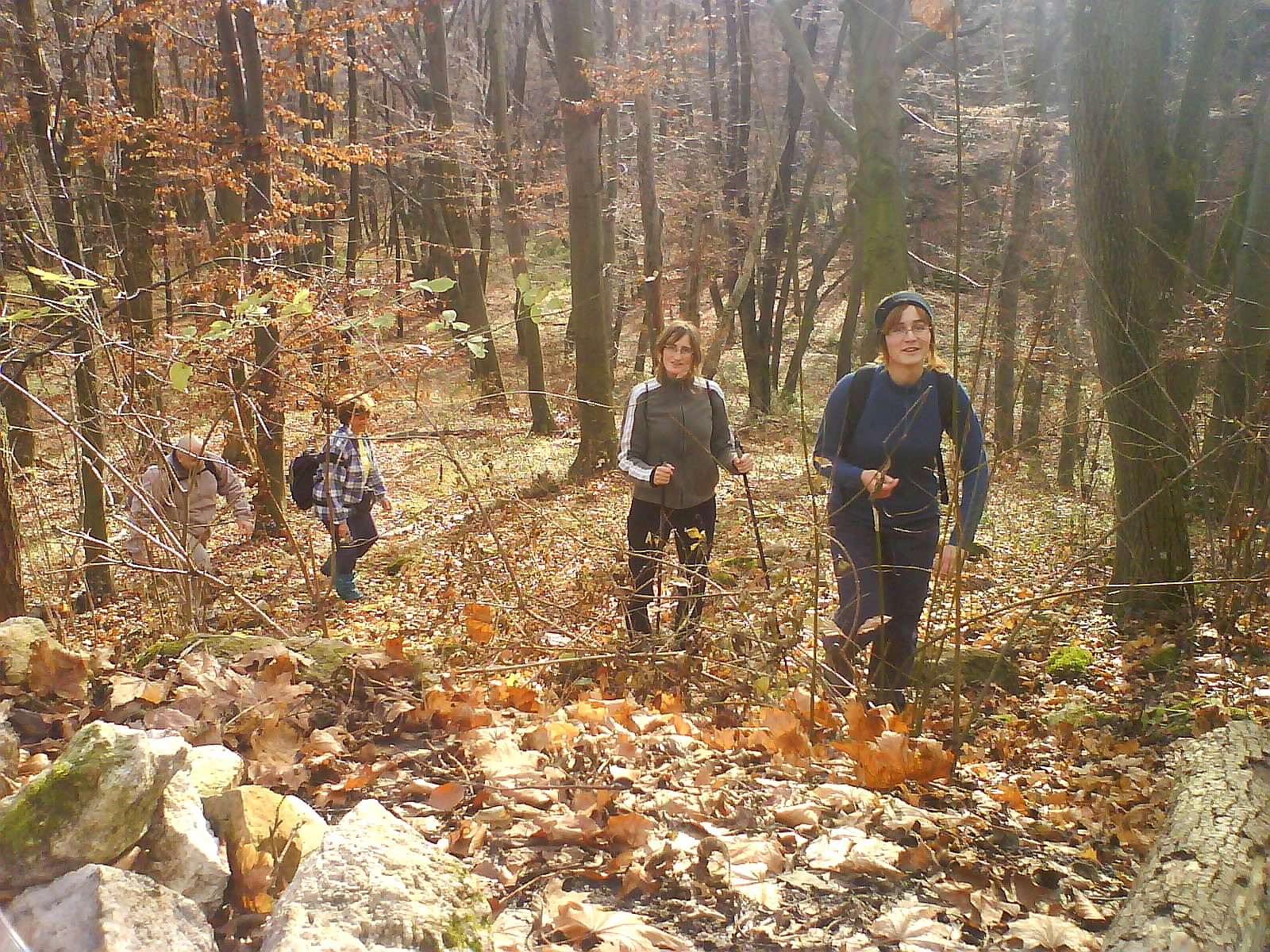 11.00 Baobab, Zsu, És Anett