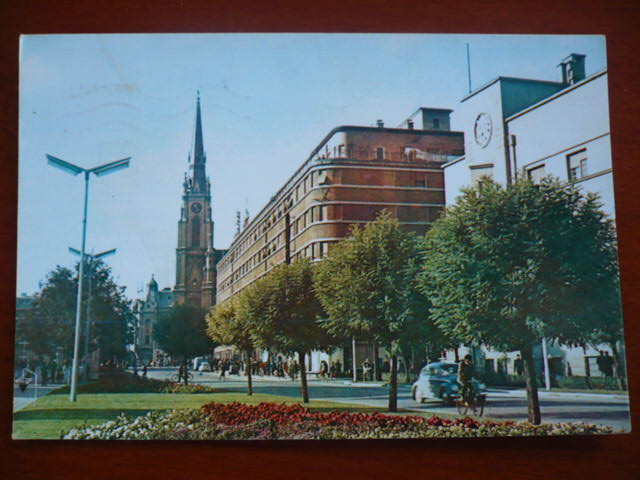 61 novi sad