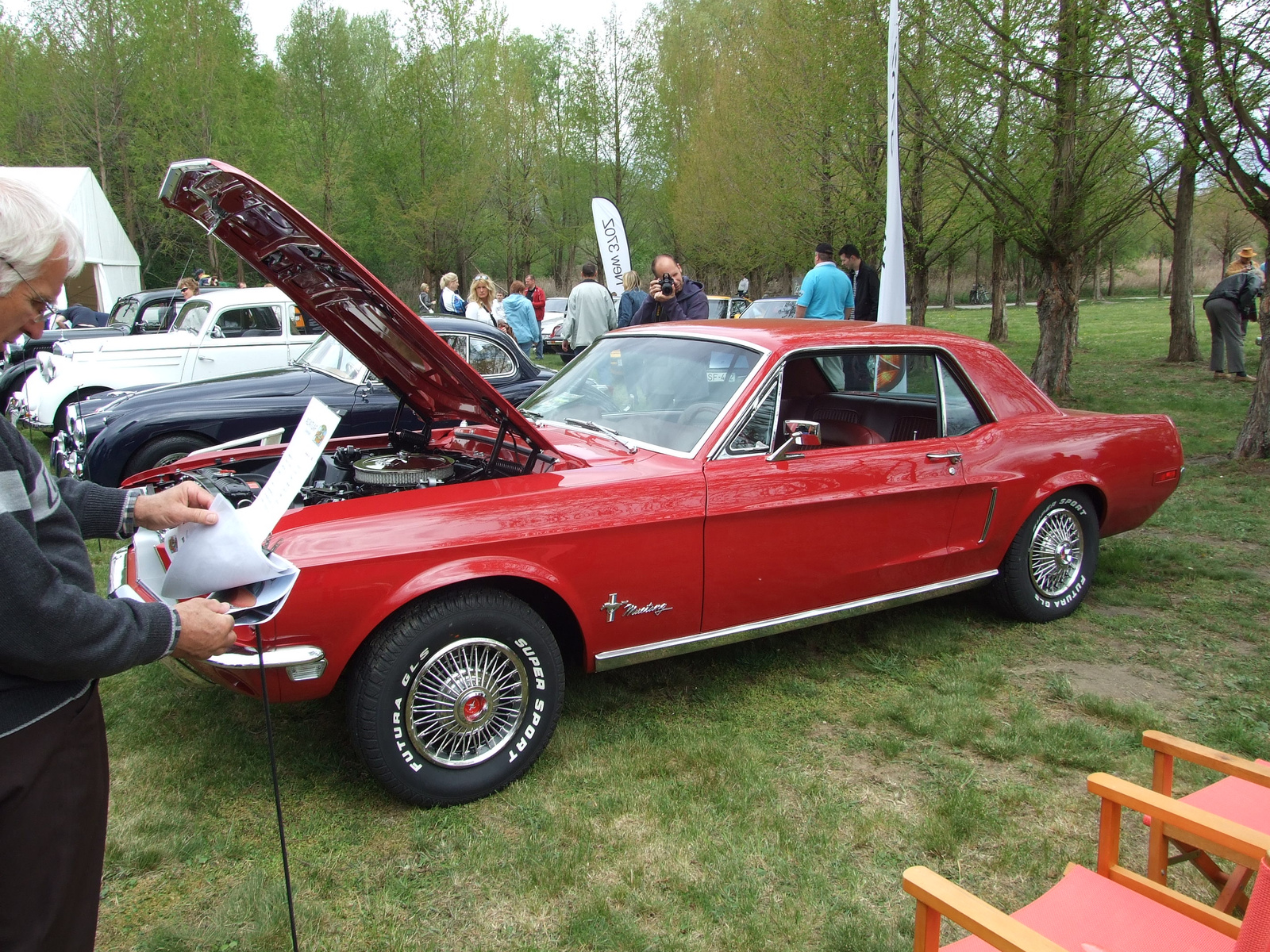 Ford Mustang1 a